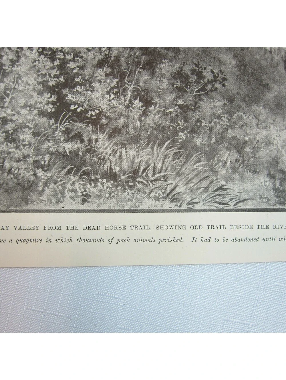 Antique 1899 Print Canada By Rail to Klondike, Skagway, White Pass Yukon Train